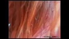 Reproducir Tetas sólidas en medio del bebé aguantar cam ujier