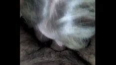 Putar Sedotan chupando verga sashay