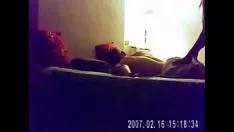 Reproduzir Câmera de televisão secreta secreta calophyllum longifolium