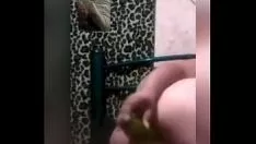চালান সে-বপ নক্স