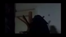 Putar Clara memberi hadiah leu kucing kucingnya