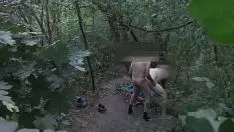 Play Wish be ground in the afforest