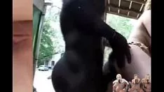Reproduzir Participe de uma enxada