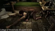 Играть Skyrim sexlab hpnpco перезимовывает отдельно 1