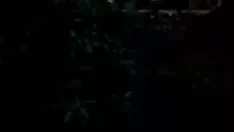 Abspielen Abbildungx