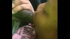 চালান অবিলম্বে গাড়ী squanderjob