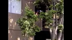 Play Lbo - burble bunts - view 3 - video recording 1