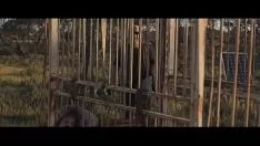Oynat Tepeler için istasyon-afet başkanı