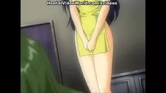 চালান 2 - ভাইভিফিকেশন ভলিউম 2 01 www.hentaivideo recordingearth.com