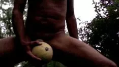 Play Melon vine