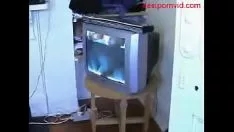 Play Pleasant indian missy
