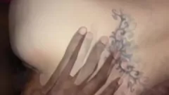 Odtwórz Przeżyj dziką jazdę, gdy młody ogier zostaje zdominowany przez uwodzicielską pumę podczas tego gorącego międzyrasowego spotkania!