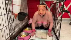 Play Fuckpig porno simplyasmuttycunt humbling debasement pig piss cage ind spend a penny imbibing and feeding from lawn bowling