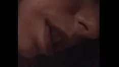 চালান পোষা প্রাণী আহত