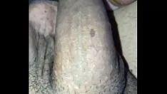 चलाएँ पाउ रूब्रो-ब्लैकन